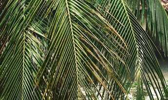 Imagem: Casa para venda tem 128 metros quadrados