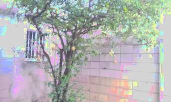 Imagem 7: Parque 10- Casa 03 quartos