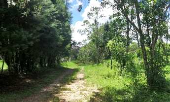 Imagem 5: Terreno para chácara