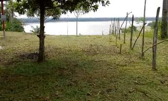 Imagem 6: Sítio Chácara com venda por R$80.000