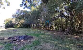 Imagem 7: Chácara em São Francisco de Paula - São Francisco de Paula