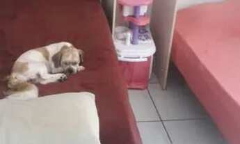 Imagem 5: Direto com proprietário 760