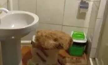 Imagem 2: Casa para venda com 80 metros quadrados com 2 quartos em Pernambués