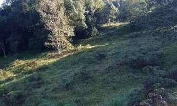 Imagem 5: Vende-se terra Chácara com venda por R$908.000