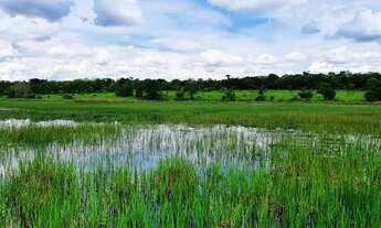 Imagem 3: Fazendinhas 20.000m2 Região com Muita Água e Terra de Cultura