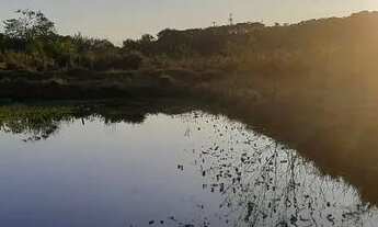 Imagem: Excelente chácara a venda em Sarapuí