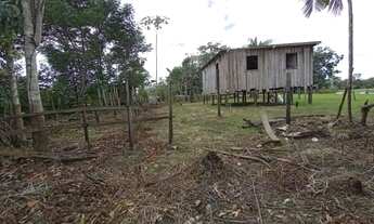 Imagem 5: Sítio no Araçá (BR 319) - R$ 15 mil