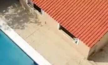 Imagem 4: TAQUARA - LOCAÇÃO/VENDA