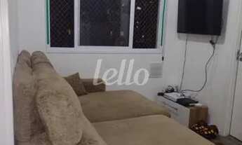 Imagem: São Paulo - Apartamento Padrão - Cambuci