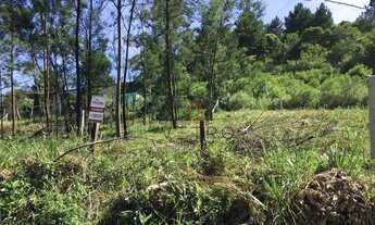 Imagem: Terreno no Vale dos Pinheiros em Gramado!