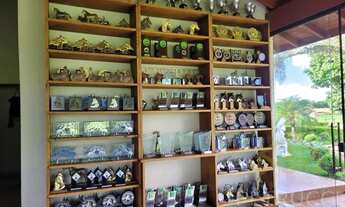 Imagem 7: Haras - Aleluia dos Tavares - Quadra