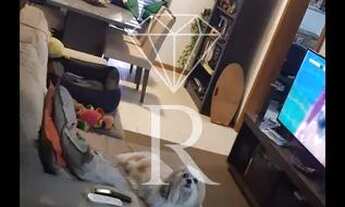 Imagem 6: Apartamento - Rio Tavares - Florianópolis