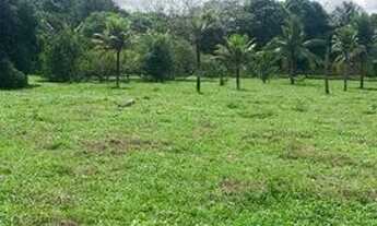 Imagem 2: Vendo 3 há proximo a Praia - raposa