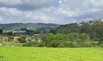 Imagem 4: LOTES PADRÃO Terreno / lote com venda por R$75.000