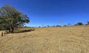 Imagem 6: Fazendinha de 11 Hectares com nascente de água e 10 mil pés de Eucaliptos Plantados em Ita