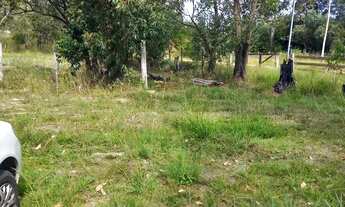 Imagem 3: Vendo sitiozinho 30x150mtrs