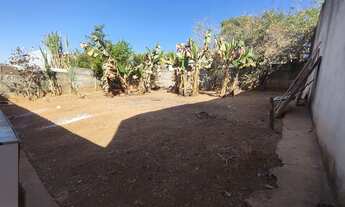 Imagem 3: Casa no imperatriz lote 360m, individual