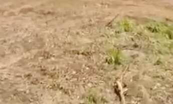 Imagem: Vendo terreno de 5 mil metros plano quitado