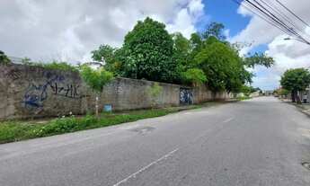 Imagem 3: Oportunidade única! Ideal para Investidores e Construtoras. Terreno c/ 803m², próx. Shoppi