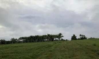 Imagem 3: Vendo terreno com 520.000,00 mil m2, na AM 010