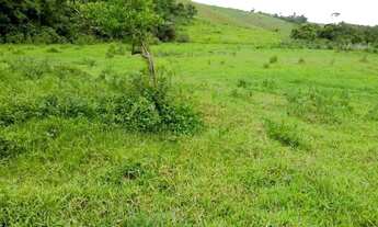 Imagem: Venda-se está propriedade de 27,5 alqueires