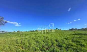 Imagem 5: Área à venda, 29860 m² por R$ 20.604.400,00 - Setor Industrial Aeroporto - Anápolis/GO