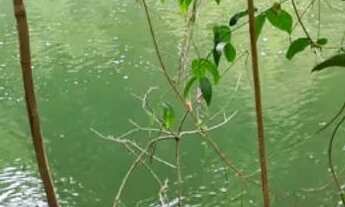 Imagem 2: Oportunidade! Vende-se uma excelente fazenda de 68.8 hectares