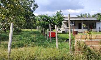 Imagem 5: SÍTIO NO JANAUARI