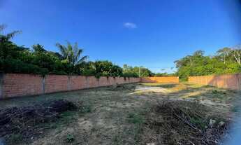 Imagem 5: Lotes 10 Minutos da Ponte Chácaras Rio Negro