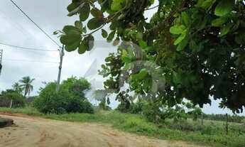 Imagem 5: Lote de 600m² no Bairro Robalo, Loteamento Parque dos Coqueiros - Aracaju/SE