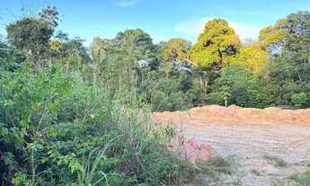 Imagem 7: VENDE 2400M2 DE TERRA DENTRO DE CONDOMINIO PARCIALMENTE MURADO NA PONTA NEGRA POR APENAS 1