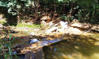 Imagem 7: VENDO SITIO NA ESTRADA DA PRODUÇÃO PROXIMO A SAMAMBAIA COM LINDAS BELEZAS NATURAIS