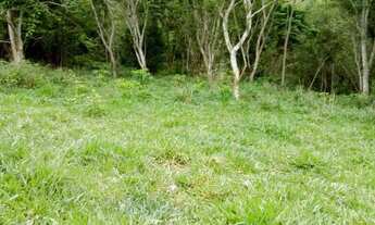 Imagem 6: Venda-se está propriedade de 27,5 alqueires no Município de Mimoso do Sul/ES