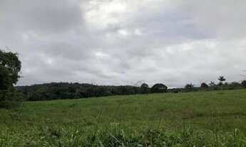 Imagem 4: Vendo terreno com 520.000,00 mil m2, na AM 010