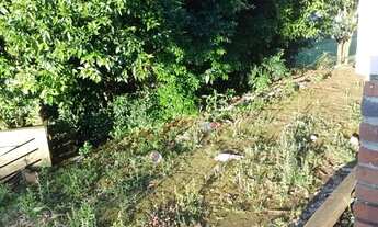 Imagem 4: Casa em Silveira Martins