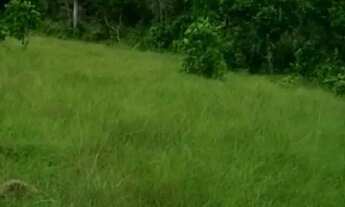 Imagem 3: Chácara 30 minutos de Minaçu na beira da GO-464 pertinho do lago de cana brava