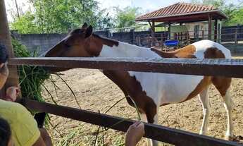 Imagem 5: Haras residence Conceição do jacuipe