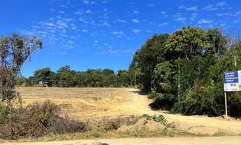 Imagem 3: CHACARAS EM CAVALCANTE GOIAS - NA ENTRADA DA CIDADE - EM FRENTE AO INSTITUTO FEDERAL