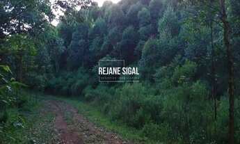 Imagem 4: Sítio Morro Redondo