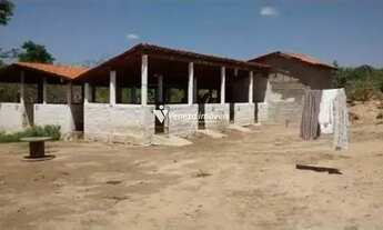 Imagem 5: SITIO NA ESTRADA DA CACIMBA VELHA A VENDA