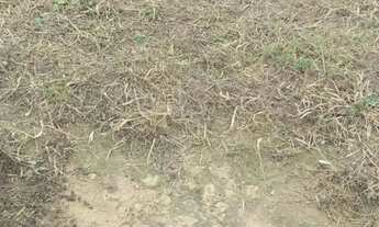 Imagem 3: TERRENO Marataizes 10x20 30mil