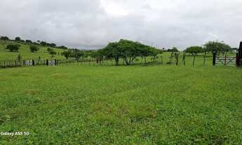 Imagem 5: Linda fazenda de aproximadas, 107t, às margens da Br 324 Norte, toda no capim