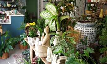 Imagem 5: Loja de decoração e flores/plantas