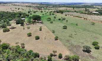 Imagem: Fazenda 25 alqueires