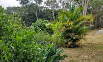 Imagem 6: Sítio perto de Jaboticatubas