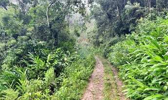 Imagem 5: Tripla Oportunidade: Terreno na Futura BR-356 Duplicada com Potencial Imobiliário e Minera