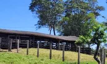 Imagem 6: OPORTUNIDADE-Fazenda a 65 km de Palmas 116 alqueires!