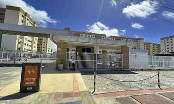 Imagem 16: Horto da barra [10726