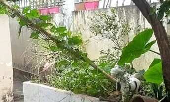 Imagem: Boa casa em bairro tranquilo próximo da