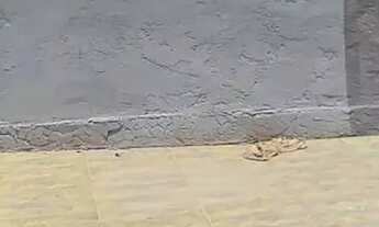 Imagem 5: Casa terréa - Osasco - Bela Vista -2 quarrtos - 1 vaga - independentes